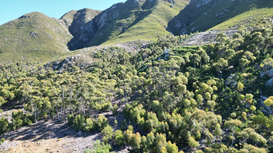 1 Bedroom Property for Sale in Onrus Western Cape